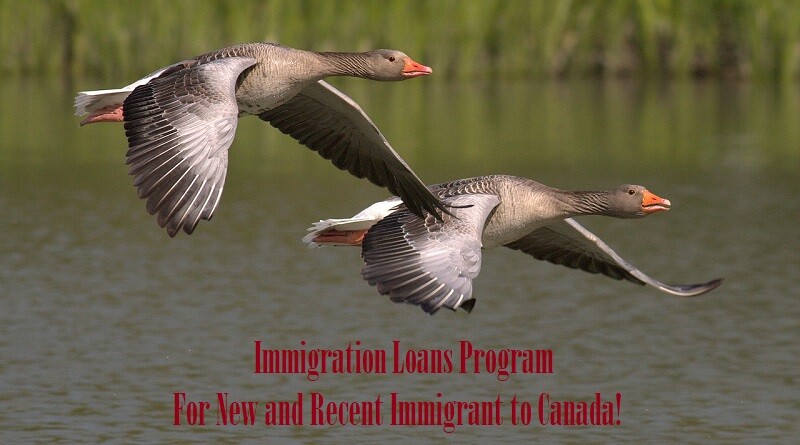 Immigration Loans Program helping new Canadians to pay for training and certification costs to help find skill relevant work in their profession or trade! Discover about financial assistance and loans available for new and recent immigrant to Canada.
